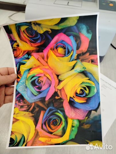 Цветной лазерный принтер Samsung CLP-300 исправный