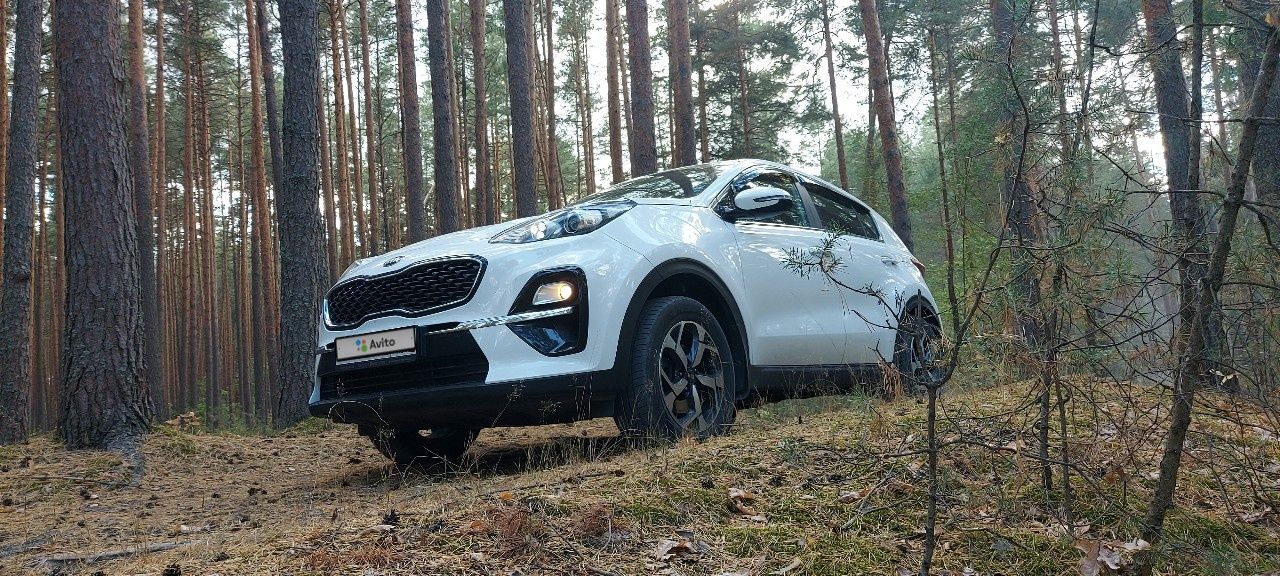 Kia Sportage: фото владельца