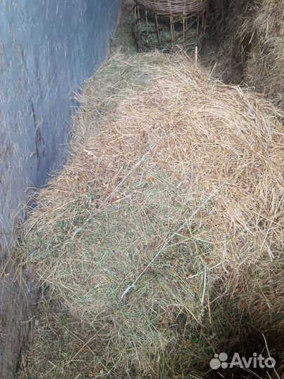 Сено в тюках