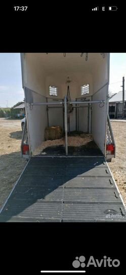 Перевозка лошадей