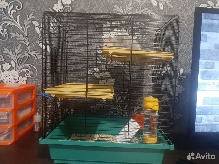 Клетка для грызунов бу