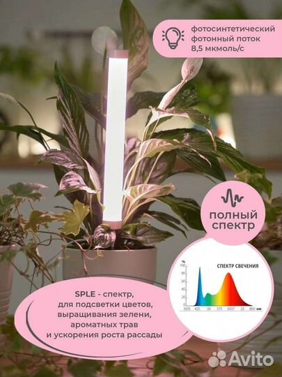 Фитолампа полного спектра на кoлышке 6 Вт, новая