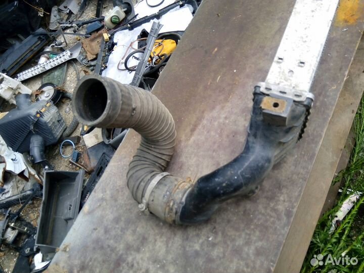 Итрекулер A2025001100 w202w208