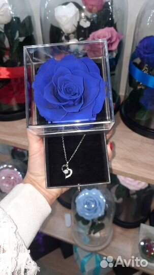 Роза в колбе