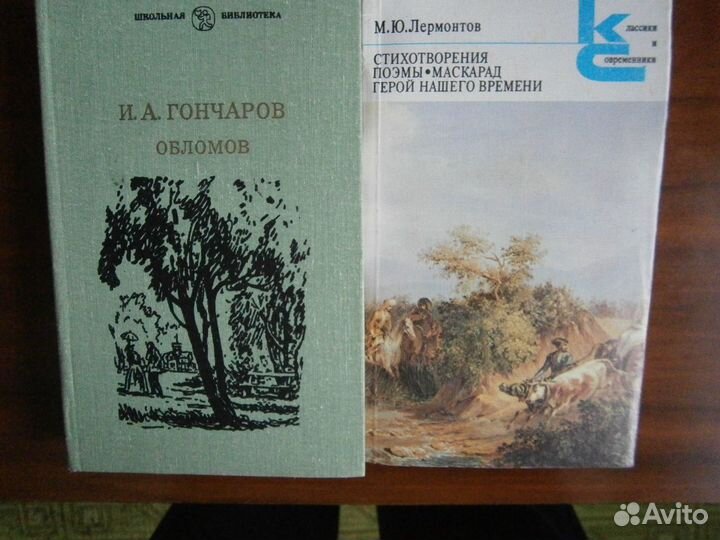 Литература по школьной программе