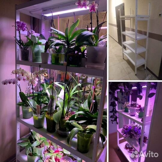 Стеллаж для растений с светодиодными Фитолампами