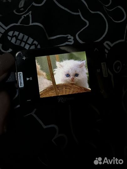 Mp3 плеер Ritmix