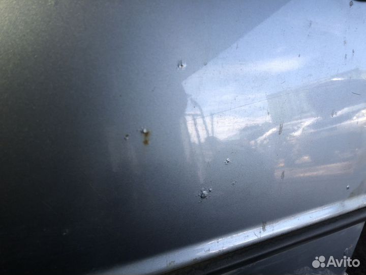 Шкода Фабия Дверь передняя Лев