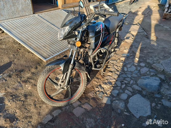 Альфа спорт