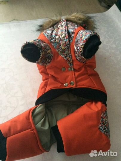 Одежда для животных