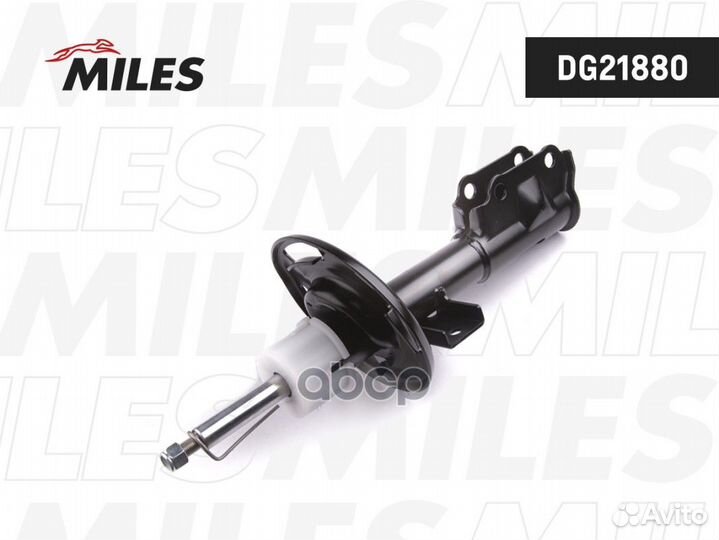 DG21880 DG21880 Miles