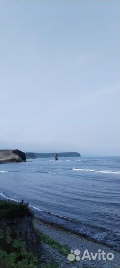 Организация экскурсий