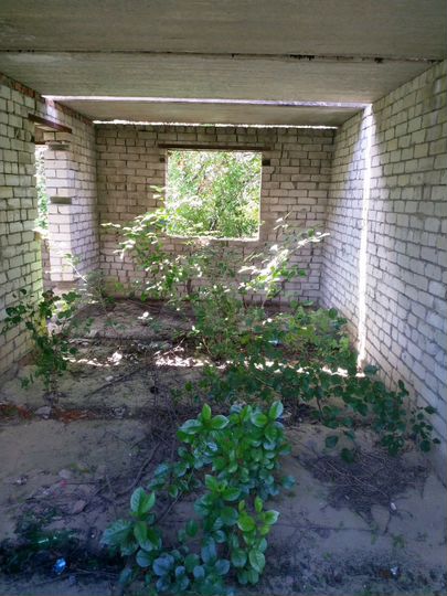 Дача 36 м² на участке 8 сот.