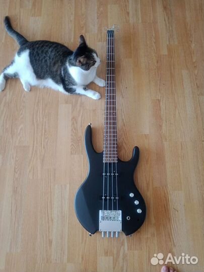 Бас гитара, от AMK