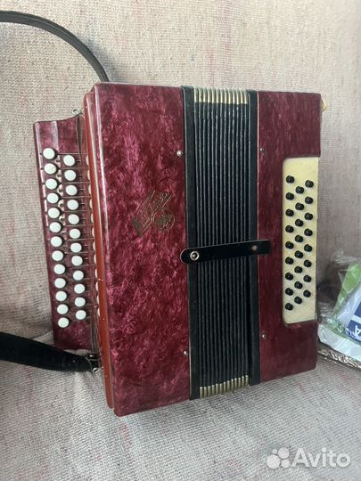 Гармонь 