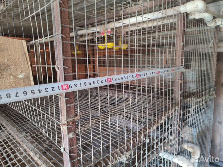 Клетки для кур несушек бу