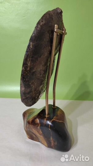 Аммонит на камне для интерьера