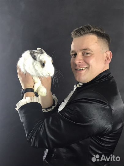 Фокусник - иллюзионист на свадьбу, корпоратив