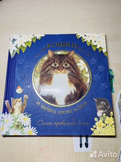 Книга про Кошек