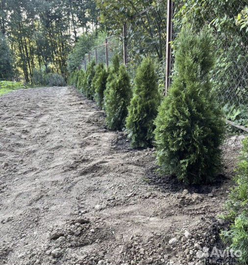 Чернозем в мешках