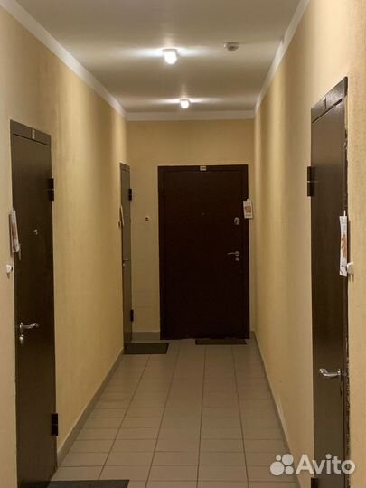 Промоутер расклейщик