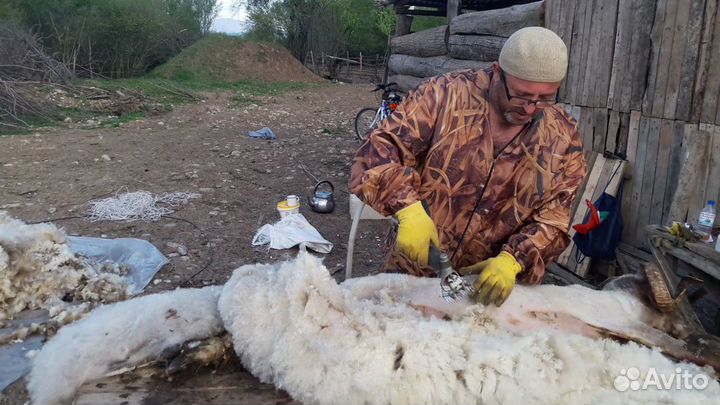 Стрижка овец