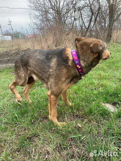 Хороший но не нужный никому