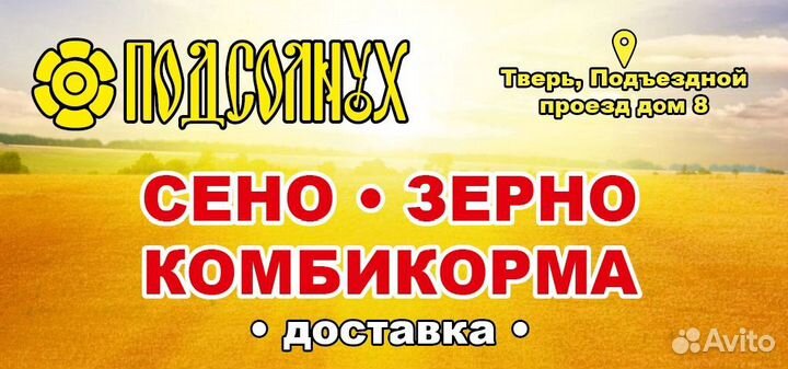 Сено, в кипах 18-20 кг