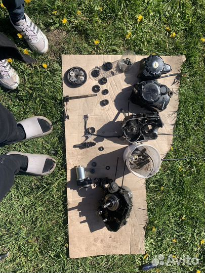 Мотор на мопед alpha 110 по запчастям