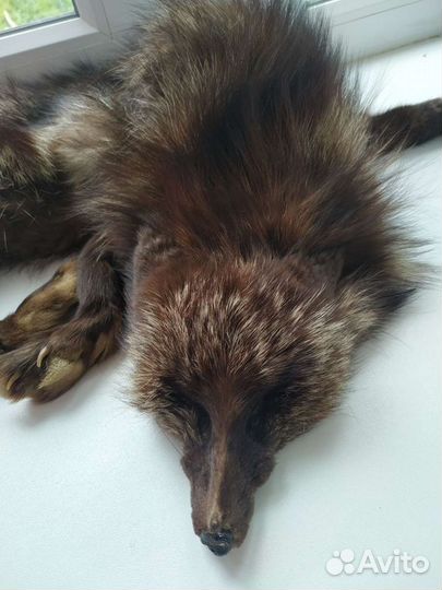 Горжетка лиса чернобурка целая