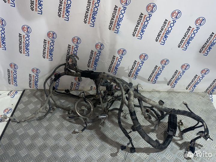 Проводка двигателя (двс ) Toyota Camry (XV40) VII