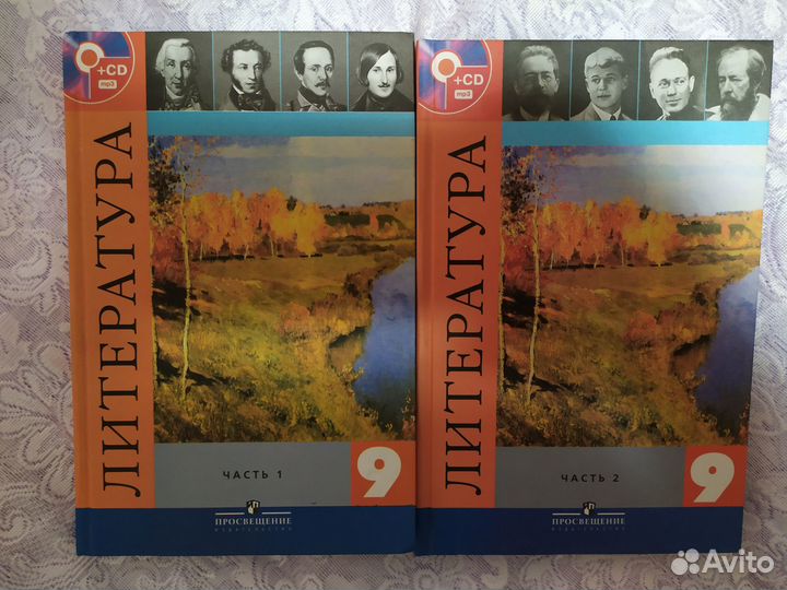 Книги по литературе 9 и 10 классы