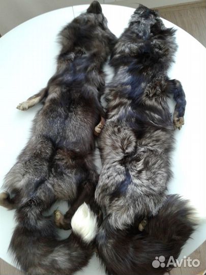 Шкурки чернобурки