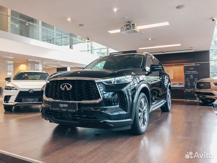 Infiniti QX60 3.5 AT, 2024