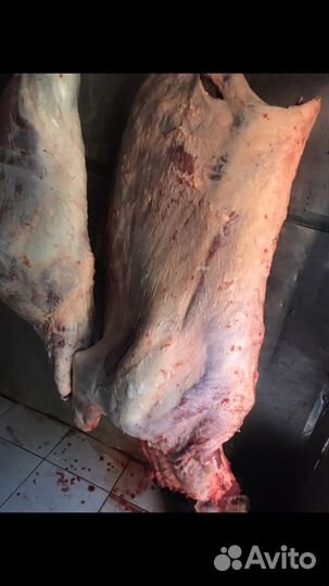 Говядина баранина