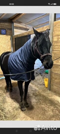 Капоры под попону для лошади дождевые демисезон