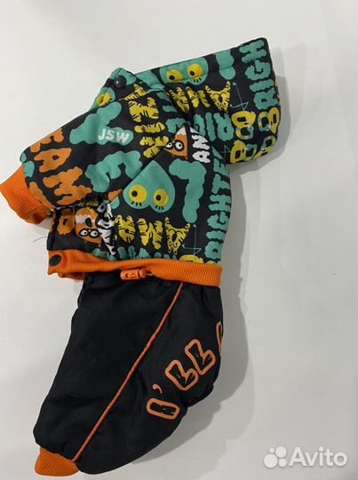 Пуховик для чихуахуа