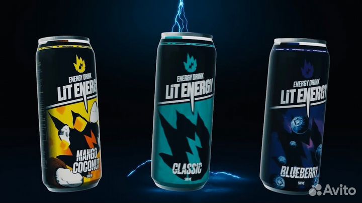 Энергетик литвина