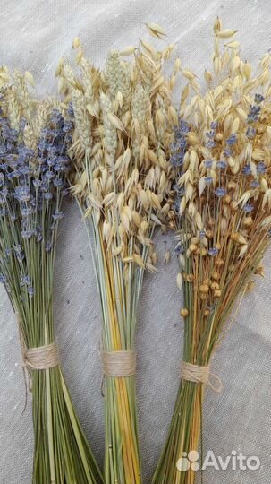 Букеты из пшеницы, льна, овса и лаванды