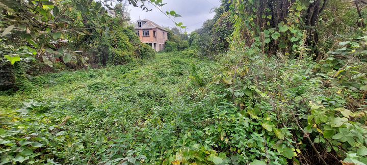 Участок 6 сот. (ИЖС)