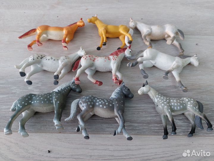 Лошади стейблы и др