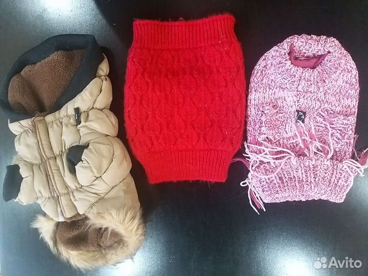 Вещи для маленьких собак