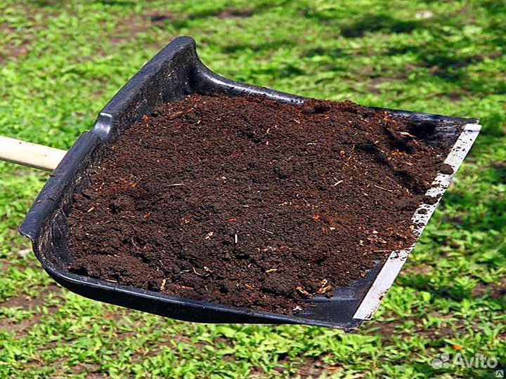 Чернозем перегной плодородная земля