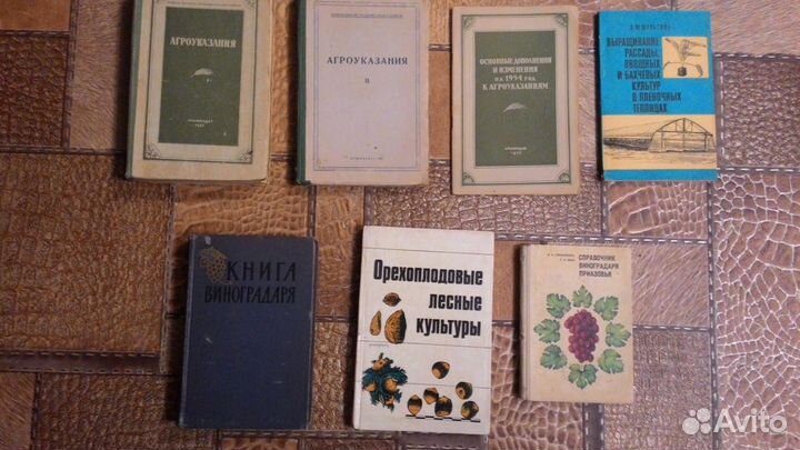 Виноградарство. Растения. Грибы, Ботаника