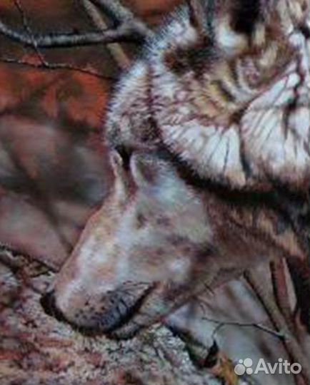 Картина кабаны и волки охота