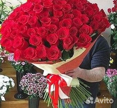 Розы Букеты Цветы Розы 31 101 151 201 Доставка