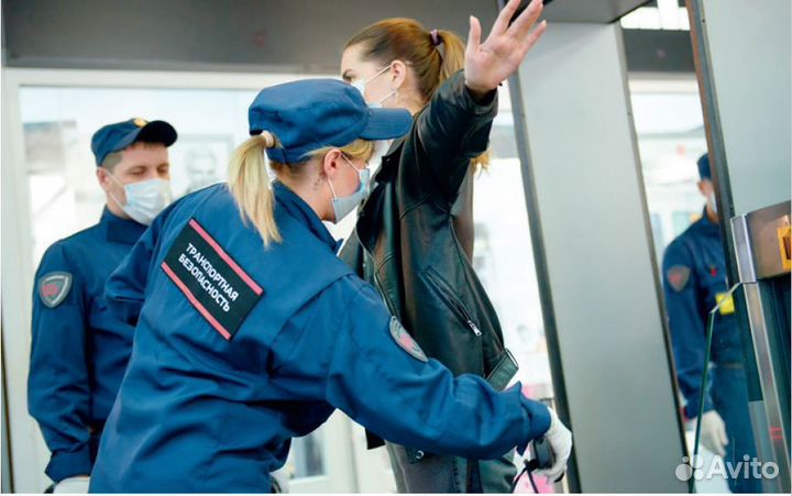 Инспектор транспортной безопасности г. Ревда