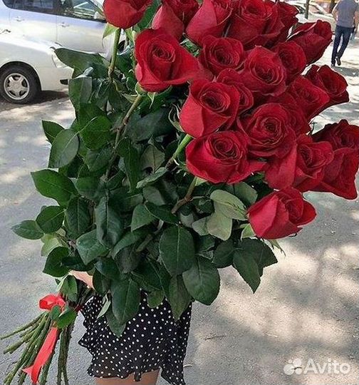 Высокие Розы Гиганты Доставка Круглосуточно