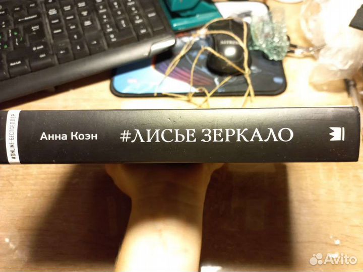 Лисье зеркало, роман Анны Коэн