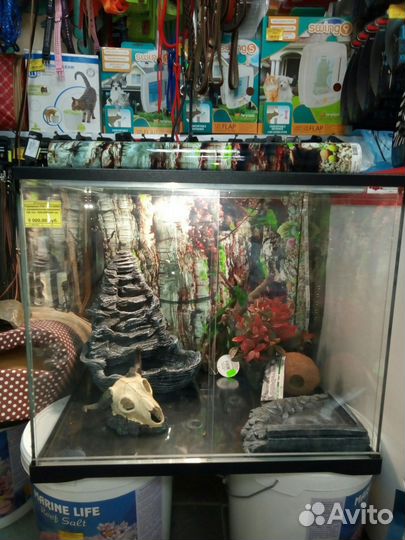 Террариумы в наличии и под заказ